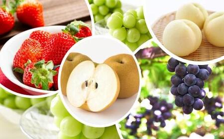 フルーツ 定期便 2026年 晴れの国 岡山の フルーツ 定期便 6回 桃 ぶどう 梨 いちご 岡山県産 国産 フルーツ 果物 ギフト