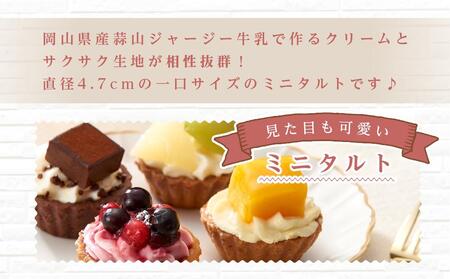 定期便 5ヶ月 フレッシュ タルト 専門店  STYLE 岡山みに たると 詰め合わせ 15個入り ケーキ タルト 詰合せ お菓子 スイーツ