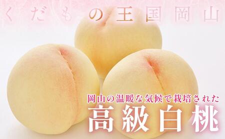 岡山県産 ご家庭用 白桃 1kg以上（4～6玉） 品種おまかせ＜2024年6月下旬以降発送＞