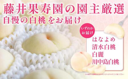 桃 2025年 先行予約 岡山県産 ご家庭用 白桃 1kg以上（4～6玉） 品種おまかせ＜6月下旬以降発送＞