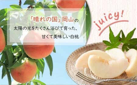 岡山県産 桃 岡山白桃 2025年 先行予約 エース 3玉×約200g 計600g Lサイズ もも モモ フルーツ 果物 ギフト