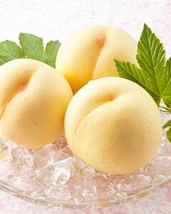 桃  2026年 岡山県産 白桃5玉(1.5kg以上) 等級：ロイヤル 化粧箱入り