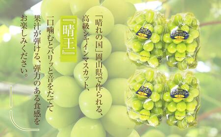 ぶどう 2026年 岡山県産 シャインマスカット『晴王』4房(1房480g以上)