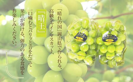 ぶどう 2026年 岡山県産 シャインマスカット『晴王』2房 (1房600g以上) 化粧箱入り