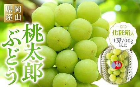 ぶどう 2026年 岡山県産 桃太郎ぶどう1房(700g以上) 化粧箱入り