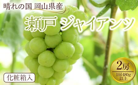 ぶどう 2026年 岡山県産 瀬戸ジャイアンツ2房(1房480g以上) 化粧箱入り
