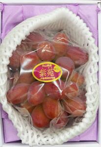 ぶどう 2026年 岡山県産 紫苑 1房(700g以上) 化粧箱入り