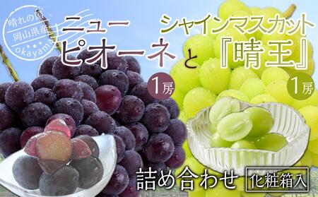 ぶどう 2026年 岡山県産 詰合/ニューピオーネ1房(480g以上)・シャインマスカット『晴王』1房(480g以上) 化粧箱入り