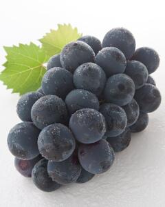 ぶどう 2026年 岡山県産 詰合/ニューピオーネ1房(480g以上)・シャインマスカット『晴王』1房(480g以上) 化粧箱入り