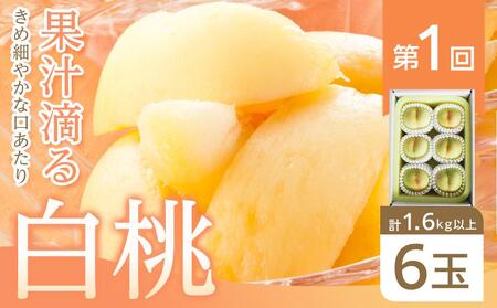 フルーツ 2026年【全6回コース】晴れの国岡山 フルーツ定期便