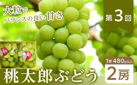 フルーツ 2026年【全6回コース】晴れの国岡山 フルーツ定期便