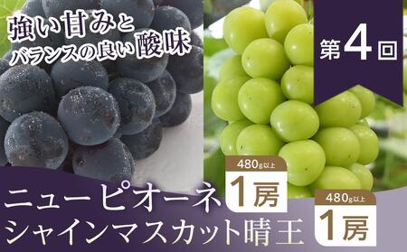 フルーツ 2026年【全6回コース】晴れの国岡山 フルーツ定期便