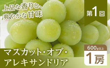 ぶどう 2026年【全3回コース】晴れの国岡山 ぶどうの定期便