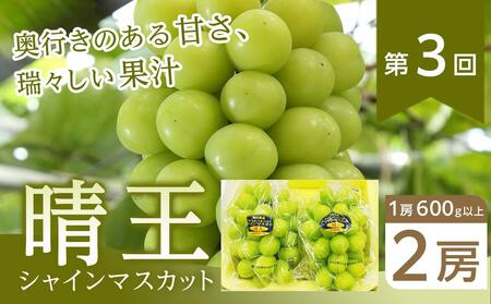 ぶどう 2026年【全3回コース】晴れの国岡山 ぶどうの定期便