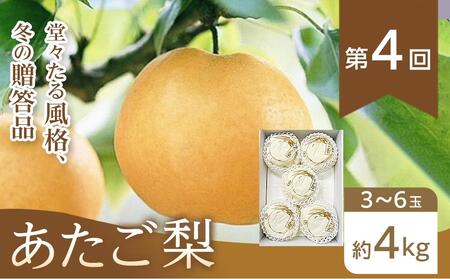 フルーツ 2026年【全4回コース】晴れの国岡山 フルーツ定期便