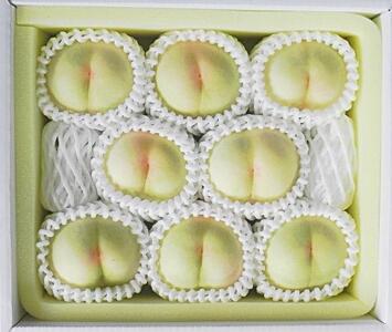 2026年  岡山県産　白桃 8玉（2kg以上） 等級：ロイヤル 化粧箱入り