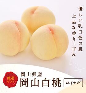 2026年 岡山県産 白桃 5玉 (1.5kg以上) 等級:ロイヤル 木箱入り