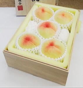 2026年 岡山県産 白桃 5玉 (1.5kg以上) 等級:ロイヤル 木箱入り