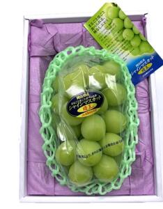 シャインマスカット 『晴王』1房(800g以上) 化粧箱入り｜  シャインマスカット 2026年