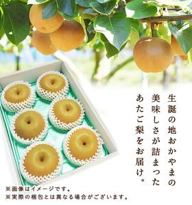 2025年 先行予約 岡山県産　あたご梨 4～7玉（約4kg） 化粧箱入り