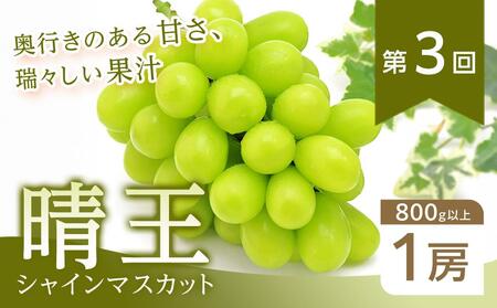 【全3回コース】2026年  岡山県産　旬のフルーツ定期便