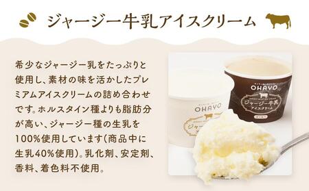 オハヨー乳業 ジャージー牛乳 アイスクリーム 120ml×10個（ミルク・コーヒー）ギフト  | アイスクリーム アイス アイス