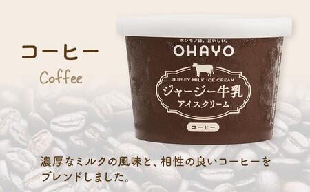 アイス オハヨー乳業 ジャージー牛乳アイスクリーム 120ml×10個（ミルク