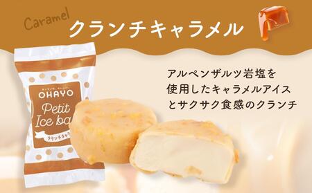 オハヨー乳業 プチアイスボール 10ml×54個 アイスクリーム ギフト