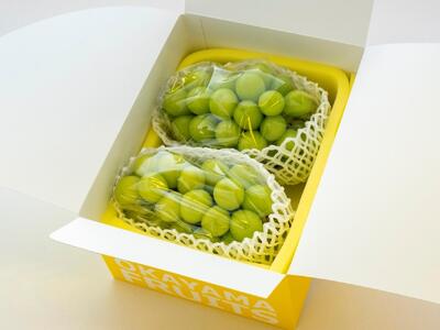 2026年 ご家庭用 岡山県産 シャインマスカット 1.2kg（2～3房）（クール便）｜  シャインマスカット