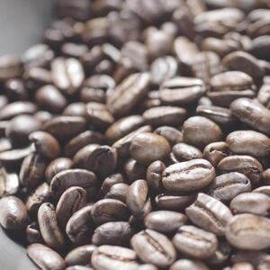 SDGs目標1（貧困をなくそう）ネパール　ラマ・オーガニック農園ディスプレイカートン12包