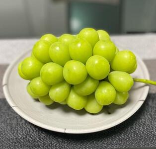 シャインマスカット　1房1.0kg｜  シャインマスカット