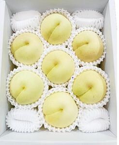 岡山冬桃がたり6~9玉 約1.3kg 秀品 化粧箱入り【2026年秋発送】 | 桃