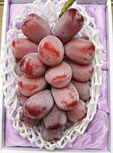 2026年 岡山県産 ブラックシャインマスカット 1房 600g以上 種無し 化粧箱入り