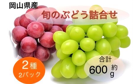 2025年 先行予約 岡山県産 旬のぶどう詰合せ 2種 2パック(シャインマスカット晴王 1房 約300g×1P、旬のぶどうお任せ 1房 約300g×1P)セット