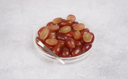 ぶどう 2026年  紫苑 粒だけ 約2kg 岡山 国産 果物 フルーツ 2026年10月上旬から発送