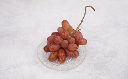 ぶどう 2026年  紫苑 粒だけ 約2kg 岡山 国産 果物 フルーツ 2026年10月上旬から発送