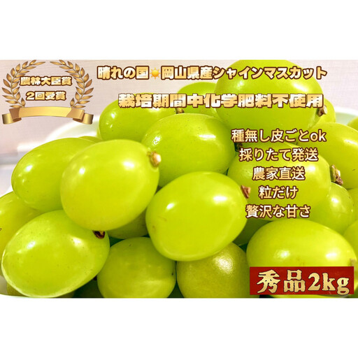 ぶどう2026年  シャインマスカット 秀品 粒だけ 約2kg 岡山 国産 果物 フルーツ  2026年6月下旬から発送