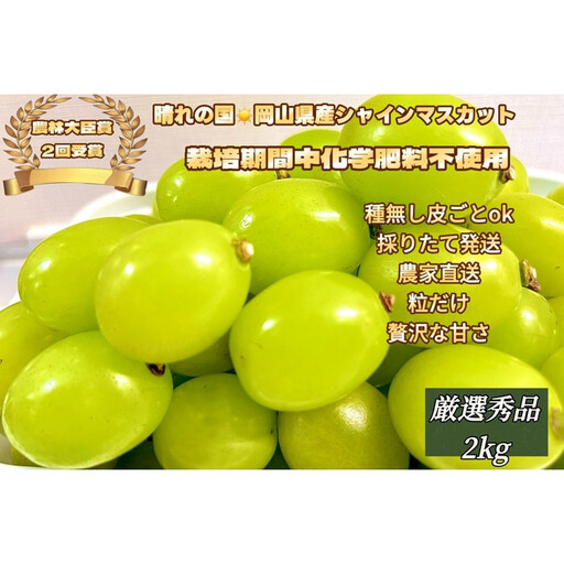 ぶどう 2026年 シャインマスカット 厳選 秀品 粒だけ 約2kg 岡山 国産 果物 フルーツ 2026年7月上旬から発送