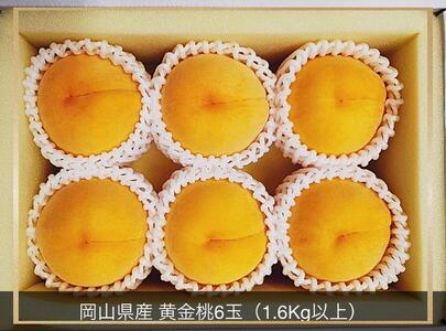 2026年 岡山県産 黄金桃 6玉 1.6kg以上 化粧箱入り