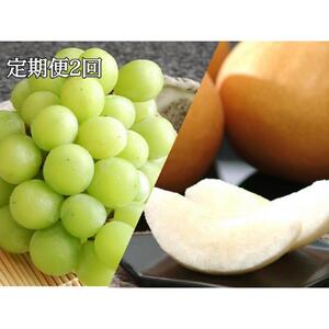 【定期便2回】シャインマスカット 2房 約1.2kg（9月発送）・ 新高梨 4～6玉 約3kg（10月発送）| フルーツ 果物 くだもの シャインマスカット マスカット 葡萄 ぶどう ブドウ 梨 なし ナシ 新高梨 岡山県産 国産 ギフト 贈答用 プレゼント シャインマスカット 梨 なし ナシ 新高梨 フルーツ 果物