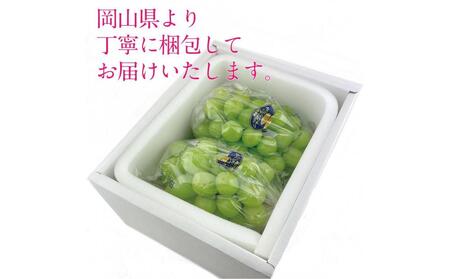 [HS]9月・10月発送 シャインマスカット 晴王 2房（合計約1.3kg） ｜  シャインマスカット