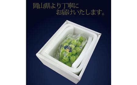 [HS]9月・10月発送 最高級品　シャインマスカット 晴王 1房 約750g ｜  シャインマスカット