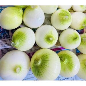 甘すぎ新鮮岡山産 みずみずしい【白玉ねぎ+赤玉ねぎ】3kgセット家庭用 減化学肥料 タマネギ 生食 健康 野菜 食品 食べ比べ 培期間中農薬・除草剤不使用 自然の力 訳あり(サイズ混合)