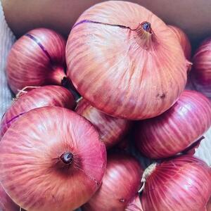 岡山市産 赤紫玉ねぎ3kg(サイズ混合)栽培期間中農薬・除草剤不使用自然の力健康野菜