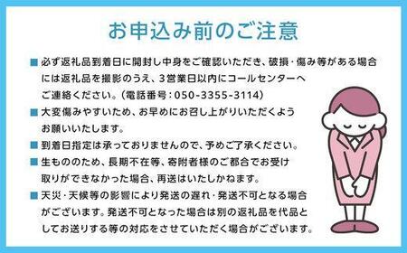岡山市産 赤紫玉ねぎ3kg(サイズ混合)栽培期間中農薬・除草剤不使用自然の力健康野菜