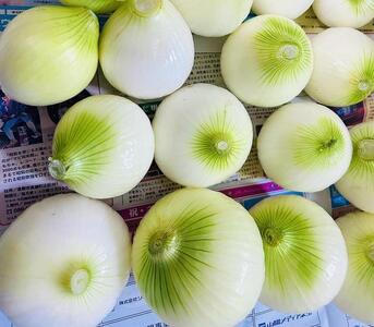 岡山市産 玉ねぎ3kg(サイズ混合)栽培期間中農薬・除草剤不使用全て自然の力健康野菜