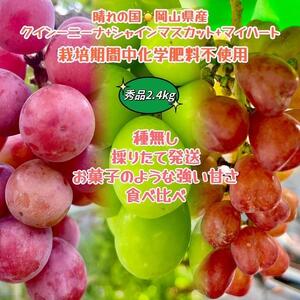 ぶどう2026年  クイーンニーナ シャインマスカット マイハート 秀品 粒だ2.4kg 農林大臣賞受賞 岡山 国産 果物 フルーツ 食べ比べ2026年8月中旬から発送
