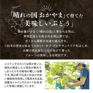 岡山県産 シャインマスカット  2kg以上（3～4房）＜2026年9月上旬～10月下旬発送＞｜  シャインマスカット
