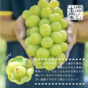岡山県産 シャインマスカット  2kg以上（3～4房）＜2026年9月上旬～10月下旬発送＞｜  シャインマスカット