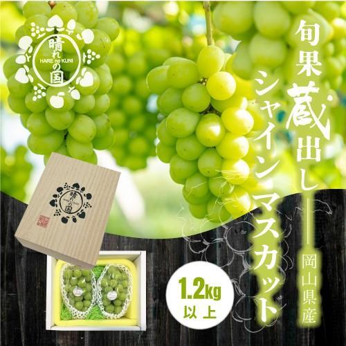 【旬果蔵出し】岡山県産 シャインマスカット 1.2kg以上（2～3房）＜2026年12月上旬～2027年1月中旬発送＞ ｜ シャインマスカット